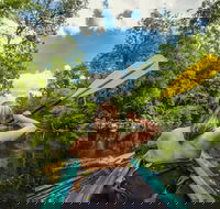 Surf  Kayak  perfect half day tour - Accommodation Brunswick Heads