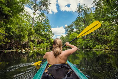 Surf & Kayak = Perfect Half Day Tour - Accommodation Brunswick Heads 0