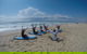 Surf & Kayak = Perfect Half Day Tour - thumb 9