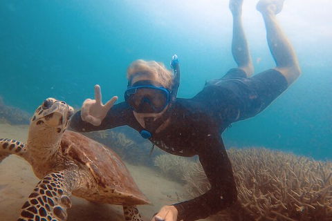 Great Keppel Island Day Trip Bundle From Yeppoon - Accommodation Brunswick Heads 5