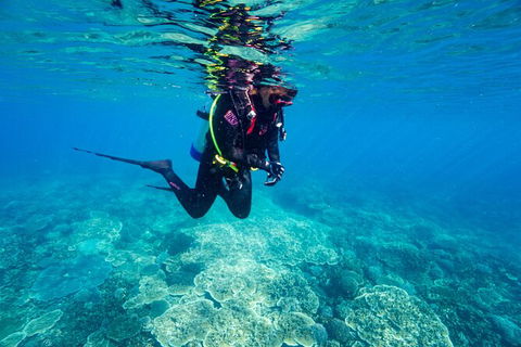 Great Keppel Island Day Trip Bundle From Yeppoon - Accommodation Brunswick Heads 6
