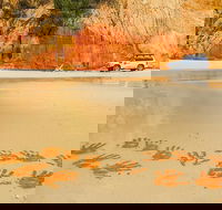 Great Beach Drive 4WD Day Tour Between Noosa and Rainbow Beach - Accommodation Brunswick Heads