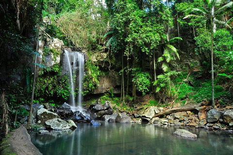 Gold Coast 4WD Eco Outback Tracks Tour - Accommodation Brunswick Heads 0
