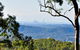 Gold Coast 4WD Eco Outback Tracks Tour - thumb 7