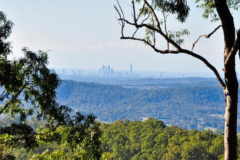 Gold Coast 4WD Eco Outback Tracks Tour - Accommodation Brunswick Heads 7