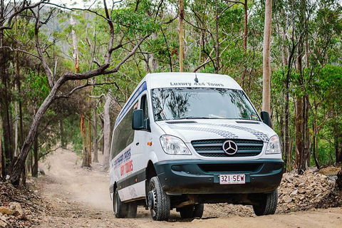 Gold Coast 4WD Eco Outback Tracks Tour - Accommodation Brunswick Heads 1