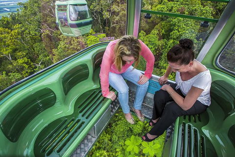 8-Day Cairns Tour: Great Barrier Reef, Kuranda, Daintree Rainforest - Accommodation Brunswick Heads 1
