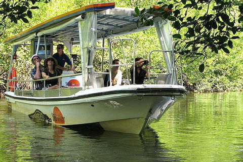 8-Day Cairns Tour: Great Barrier Reef, Kuranda, Daintree Rainforest - Accommodation Brunswick Heads 3