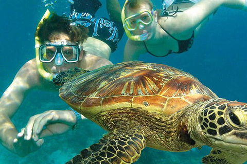 8-Day Cairns Tour: Great Barrier Reef, Kuranda, Daintree Rainforest - Accommodation Brunswick Heads 2