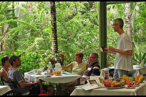 8-Day Cairns Tour: Great Barrier Reef, Kuranda, Daintree Rainforest - Accommodation Brunswick Heads 5