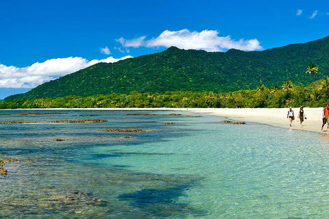 8-Day Cairns Tour: Great Barrier Reef, Kuranda, Daintree Rainforest - Accommodation Brunswick Heads 4