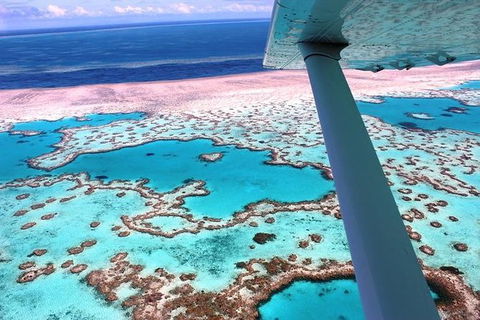 8-Day Cairns Tour: Great Barrier Reef, Kuranda, Daintree Rainforest - Accommodation Brunswick Heads 0