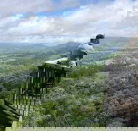 Scenic Food  Wine Tour Inc. Lunch Cheese Wine  Chocolate - Accommodation Brunswick Heads