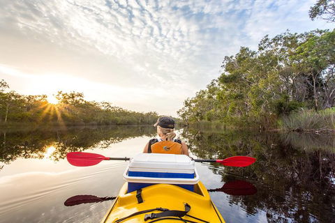 Self-Guided Noosa Everglades Kayak Tour - Accommodation Brunswick Heads 1