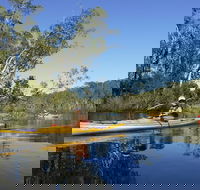 Self-Guided Noosa Everglades Kayak Tour - Accommodation Brunswick Heads