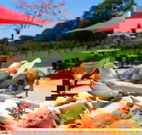 Sunshine Coast Private Gourmet Food and Wine Tour - Accommodation Brunswick Heads