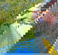 Noosa Everglades Serenity Cruise  Highlights Tour Inc. Lunch  Cruise - Accommodation Brunswick Heads