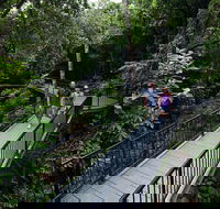 4-Day Cairns with Great Barrier Reef and Daintree Rainforest - Accommodation Brunswick Heads