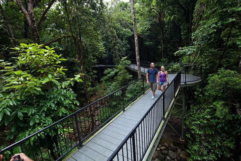 4-Day Cairns With Great Barrier Reef And Daintree Rainforest - Accommodation Brunswick Heads 0