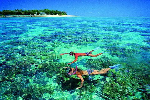 4-Day Cairns With Great Barrier Reef And Daintree Rainforest - Accommodation Brunswick Heads 3