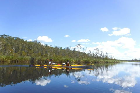 Full-Day Guided Noosa Everglades Kayak Tour - Accommodation Brunswick Heads 1