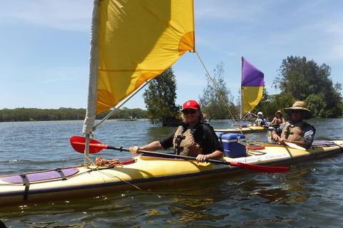 Full-Day Guided Noosa Everglades Kayak Tour - Accommodation Brunswick Heads 0