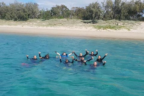 Guided Snorkel With Fish Tour At Wavebreak Island, Gold Coast - Accommodation Brunswick Heads 4