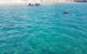 Guided Snorkel With Fish Tour At Wavebreak Island, Gold Coast - thumb 8