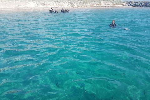 Guided Snorkel With Fish Tour At Wavebreak Island, Gold Coast - Accommodation Brunswick Heads 8