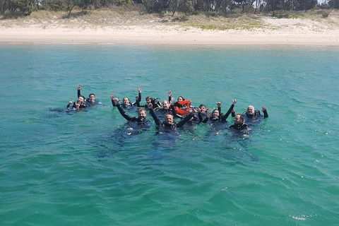 Guided Snorkel With Fish Tour At Wavebreak Island, Gold Coast - Accommodation Brunswick Heads 12