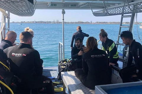 Guided Snorkel With Fish Tour At Wavebreak Island, Gold Coast - Accommodation Brunswick Heads 7