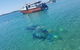 Guided Snorkel With Fish Tour At Wavebreak Island, Gold Coast - thumb 6