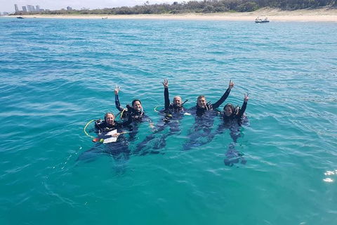 Guided Snorkel With Fish Tour At Wavebreak Island, Gold Coast - Accommodation Brunswick Heads 5