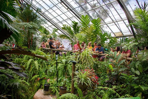Australian Butterfly Sanctuary - Accommodation Brunswick Heads 4