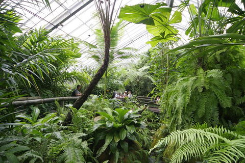 Australian Butterfly Sanctuary - Accommodation Brunswick Heads 1