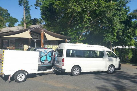Airport Transfer To Or From Cairns Hotels For Up To 13 People (7am-10pm) - Accommodation Brunswick Heads 3