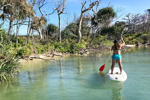 Early Morning Weekend Paddleboard Special - Accommodation Brunswick Heads 5