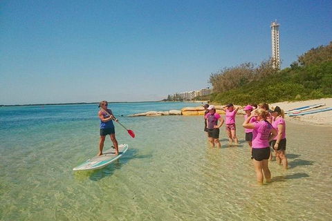 Golden Beach 1-Hour Stand-Up Paddleboard Hire On The Sunshine Coast - Accommodation Brunswick Heads 0