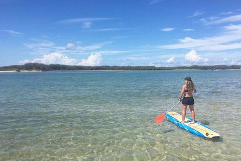 Golden Beach 1-Hour Stand-Up Paddleboard Hire On The Sunshine Coast - Accommodation Brunswick Heads 1