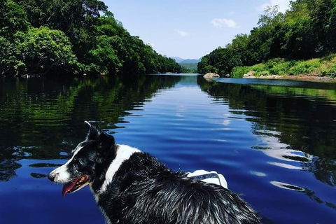 Goldsborough Valley Tour: Stand Up Paddle Through Sacred Lands - Accommodation Brunswick Heads 10