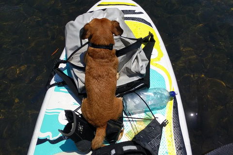 Goldsborough Valley Tour: Stand Up Paddle Through Sacred Lands - Accommodation Brunswick Heads 6