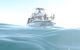 Guided Snorkel With Fish Tour At Cook Island Aquatic Reserve - thumb 5