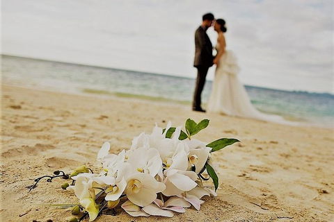 Airport Transfer - Port Douglas To Cairns Airport - Accommodation Brunswick Heads 1