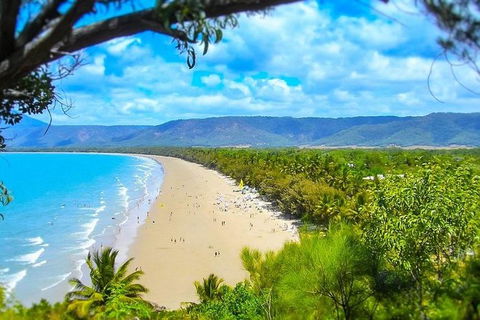 Airport Transfer - Port Douglas To Cairns Airport - Accommodation Brunswick Heads 3