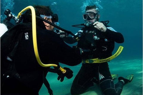 Gold Coast Try-Scuba Experience At Cook Island Aquatic Reserve - Accommodation Brunswick Heads 2