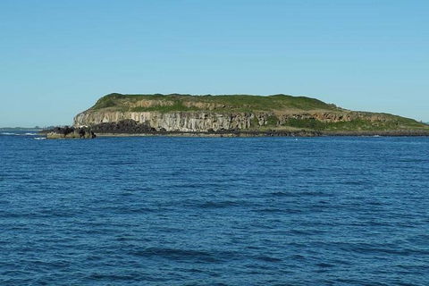 Gold Coast Try-Scuba Experience At Cook Island Aquatic Reserve - Accommodation Brunswick Heads 3