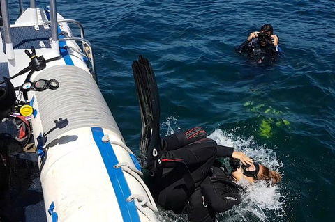 Gold Coast Try-Scuba Experience At Cook Island Aquatic Reserve - Accommodation Brunswick Heads 5