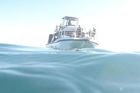 Gold Coast Try-Scuba Experience At Cook Island Aquatic Reserve - Accommodation Brunswick Heads 7