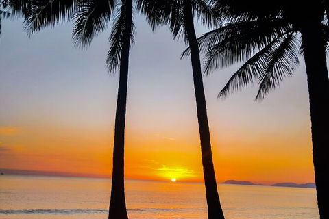 Airport Transfers Between Cairns Airport And Palm Cove - Accommodation Brunswick Heads 4