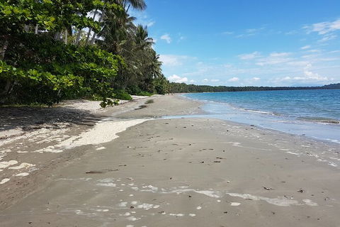 Airport Transfers Between Cairns Airport And Palm Cove - Accommodation Brunswick Heads 2